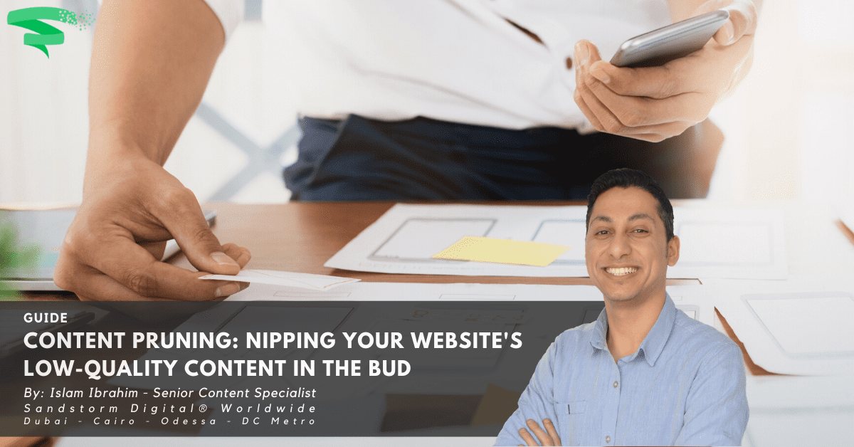 Content Pruning_ Nipping Your Website's Low-Quality Content in the Bud (1)